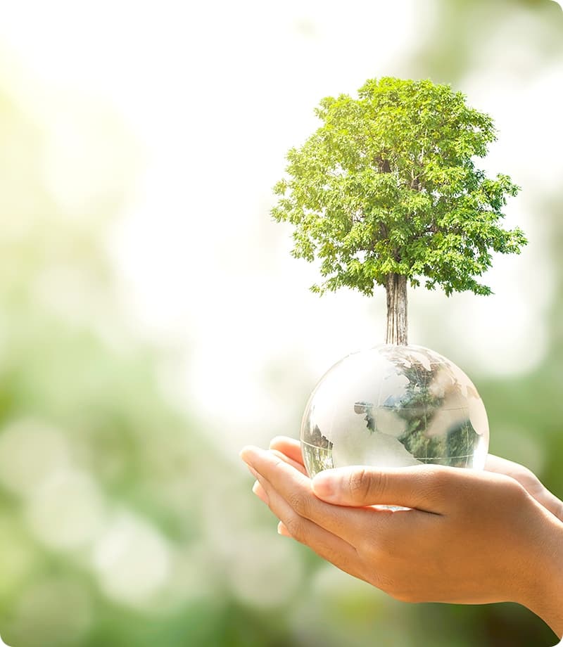 ロイヤルホールディングス株式会社コーポレートサイト