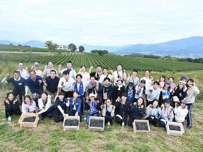 シャトー・メルシャン椀子ワイナリーにて「ぶどう収穫ボランティア」を実施しました