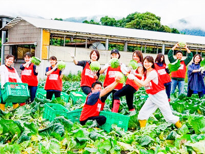 「産地を知ろう」活動を実施（群馬県吾妻郡、キャベツ収穫体験）