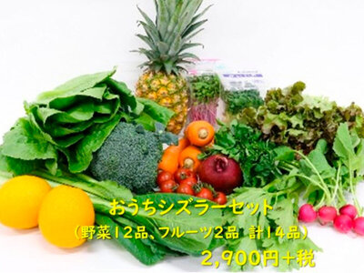 「シズラー野菜セット」販売を実施